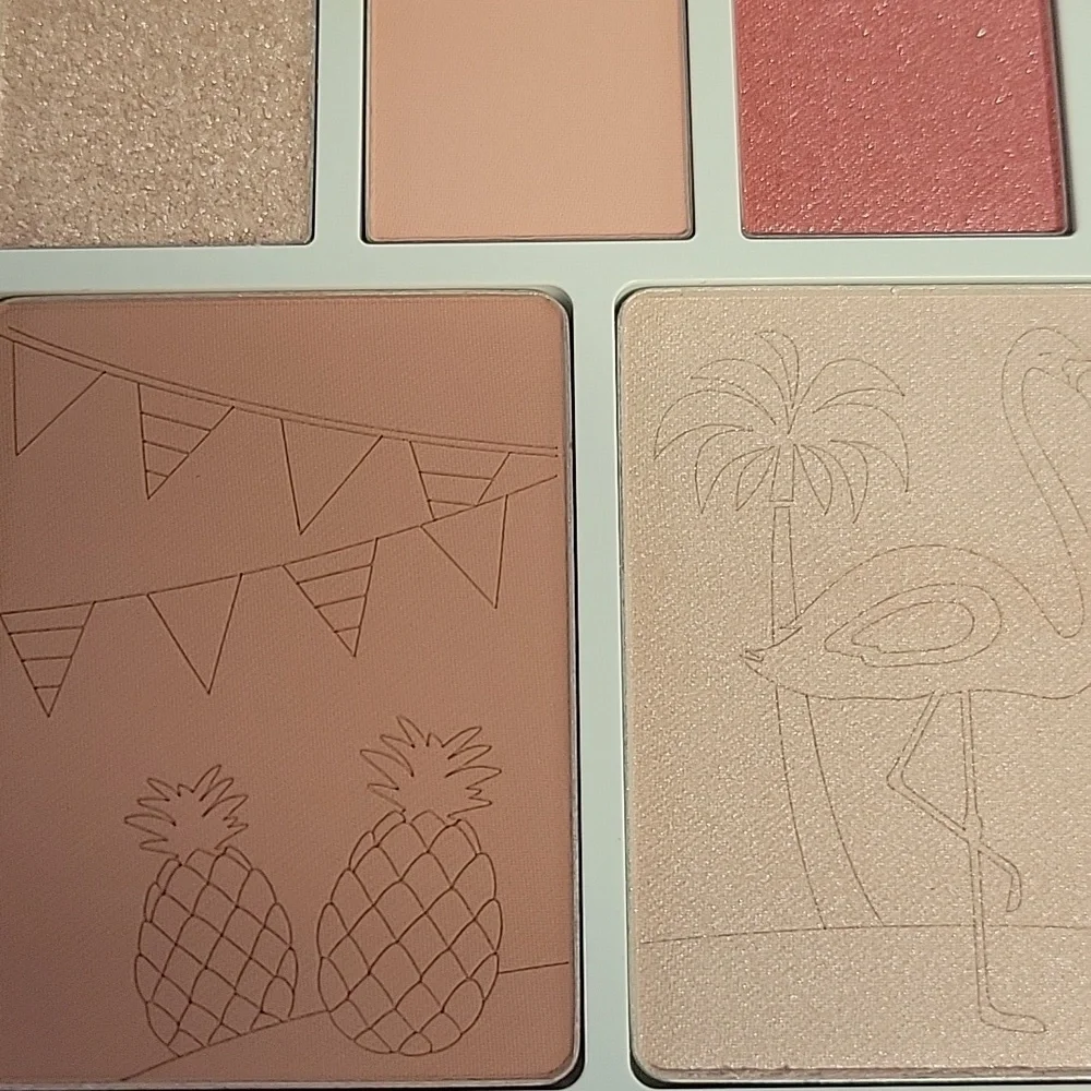 KISS Joah Flamingo Garden Eyeshadow & Cheek Palette NEW